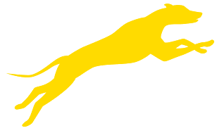 logo chien logo chien